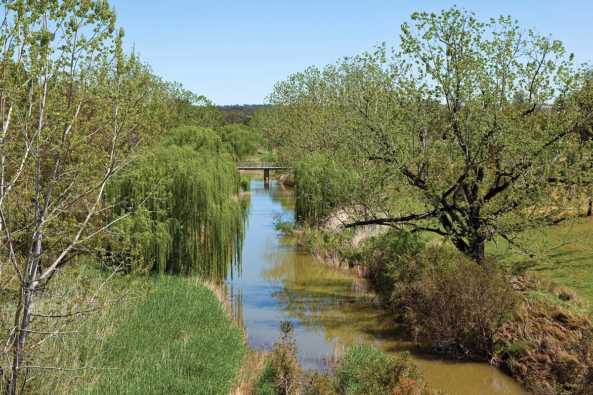 Warialda Creek, Warialda NSW. Credit: NSW Department of Planning and Environment / Neil Fenelon