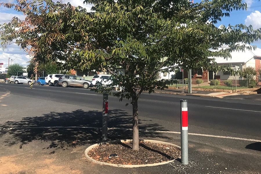Urban design to capture stormwater runoff from nearby road that provides water for irrigating trees