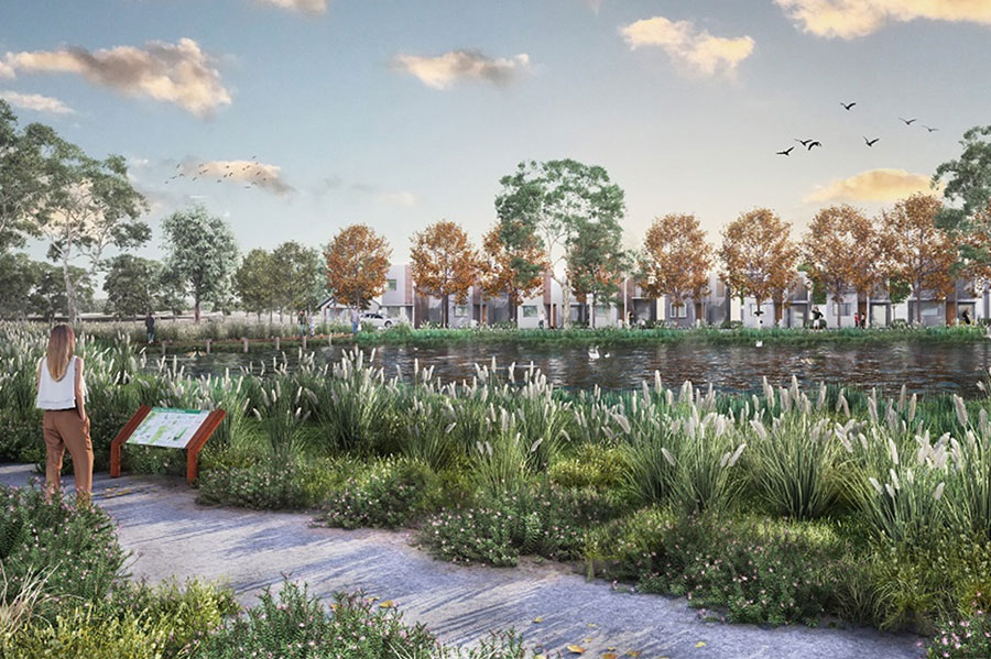 Artist impression of girl reading information board near lake full of reeds with buildings in the background