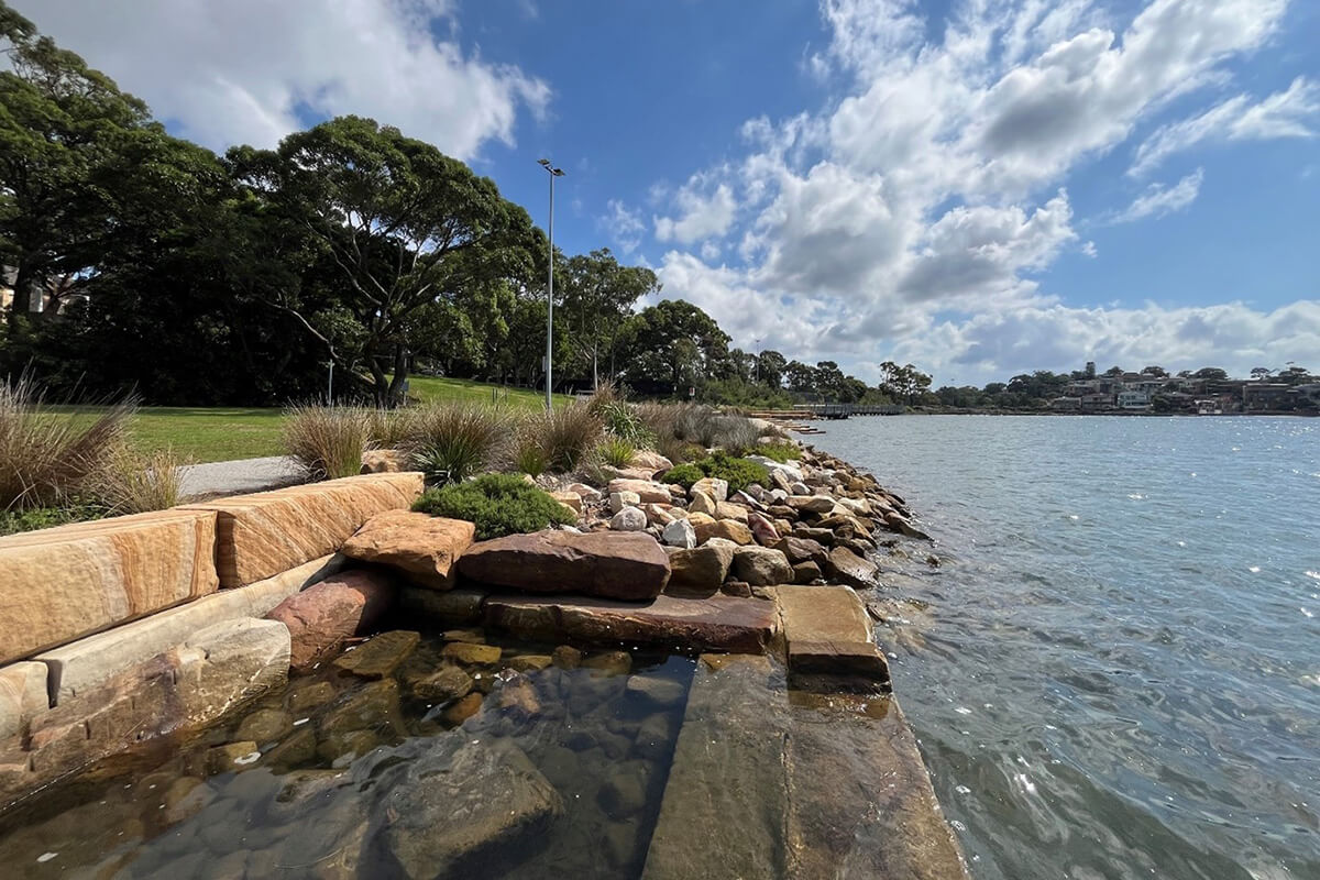 Carss Bush Park Foreshore Naturalisation