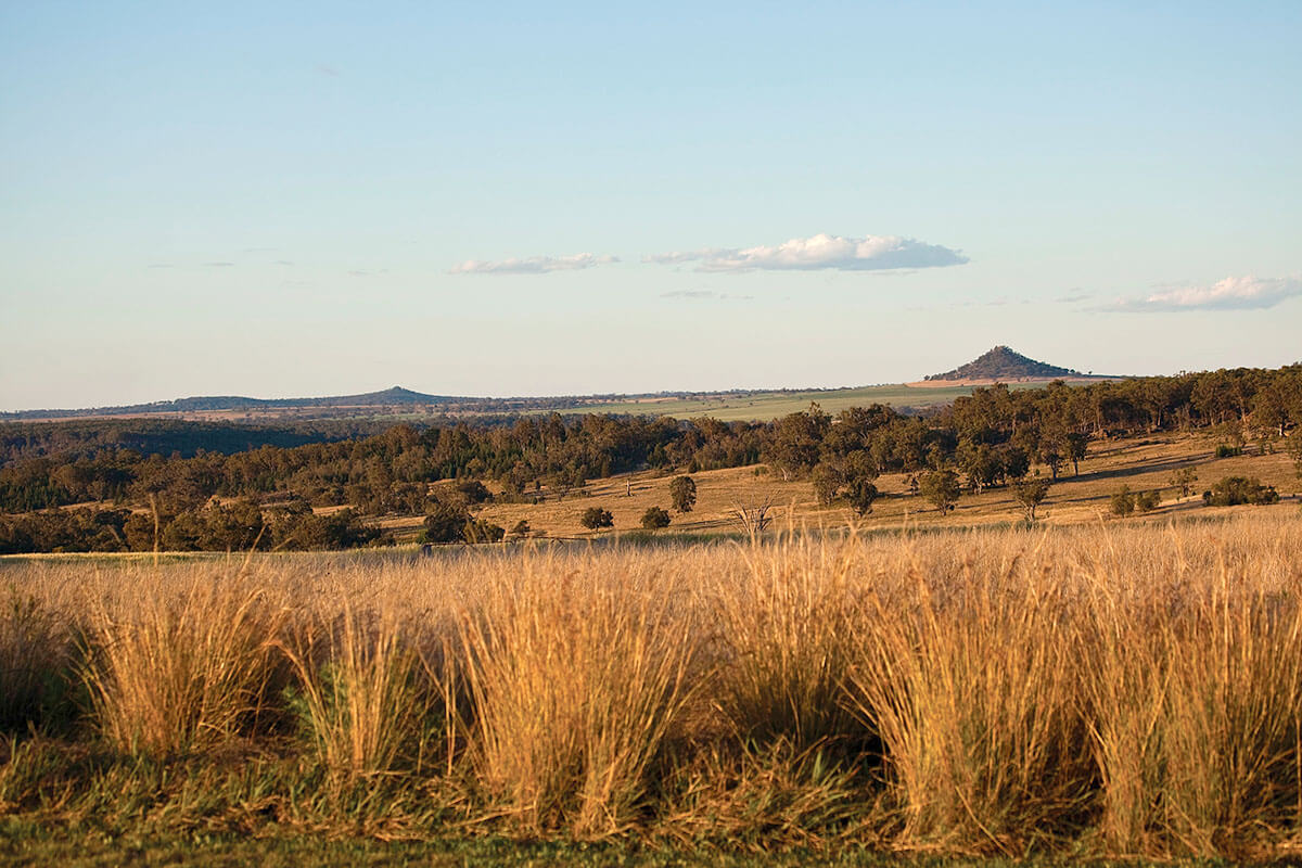 Landscape outside of Warialda, NSW. Credit: NSW Department of Planning and Environment / Neil Fenelon