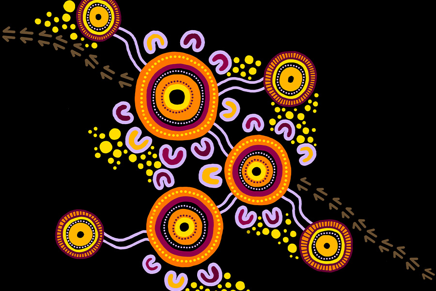 Our Community – representing the beauty and diversity of Country across western Sydney. Credit: Lua Pellegrini